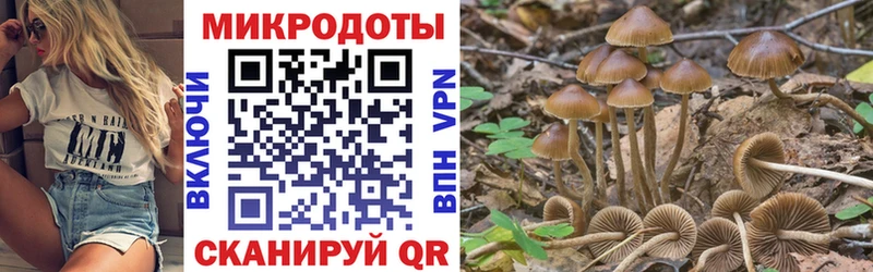 Галлюциногенные грибы MAGIC MUSHROOMS  Купить  Белебей 